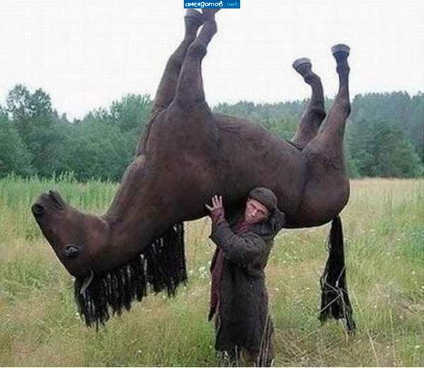 вот так цыгане воруют коней