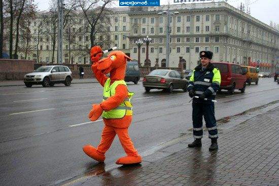 Куда прёш, животное?! А ну давай топай на пешеходный переход!