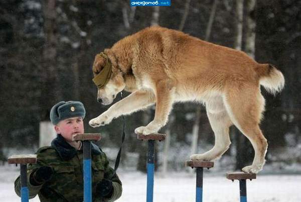 я угадаю все ноты