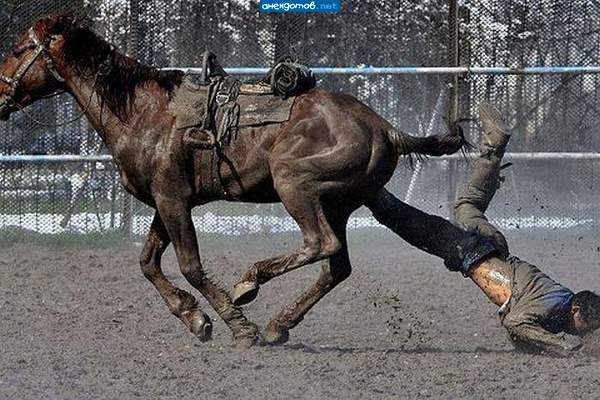 Вот так рождаются" настоящие всадники"