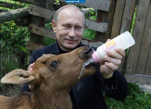 Дима, смело напивайся и в премьера превращайся!..