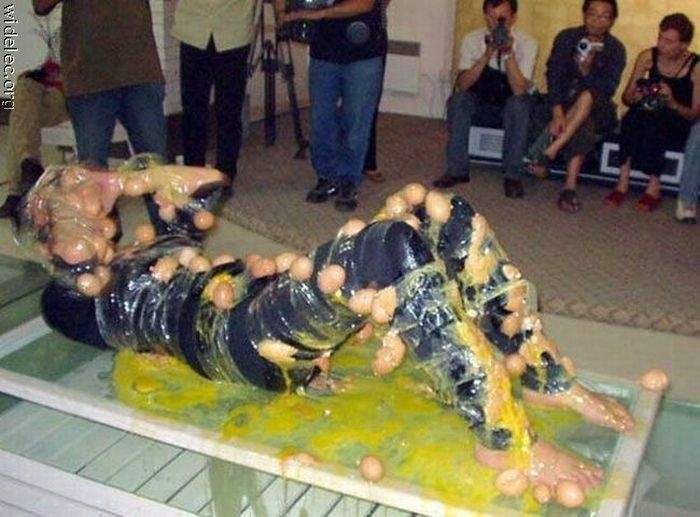Зигмунд Фрейд отдыхает....