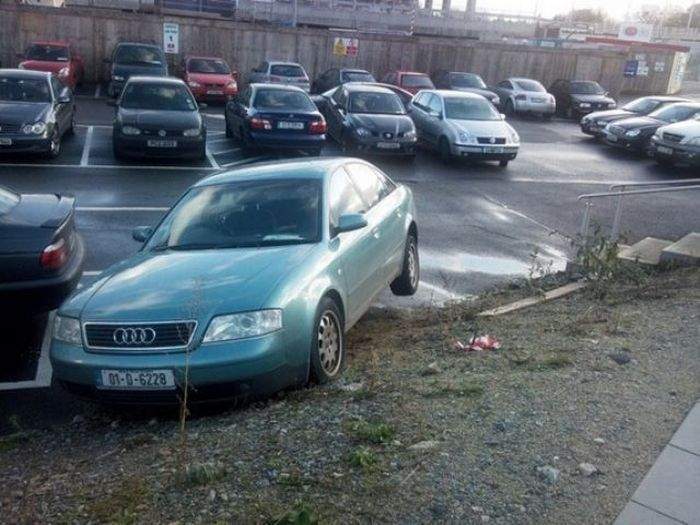жаль кустика нет