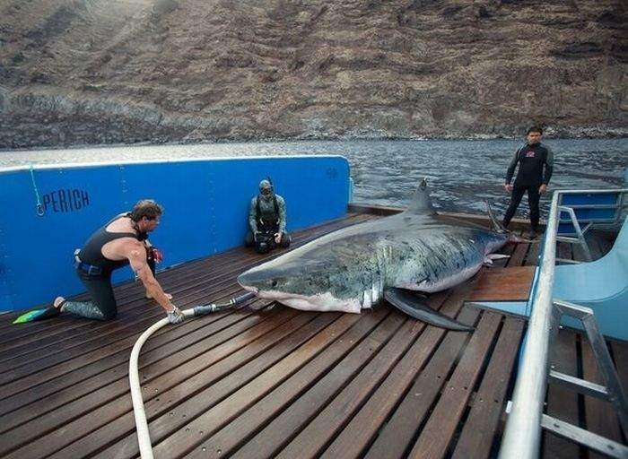 На заправке