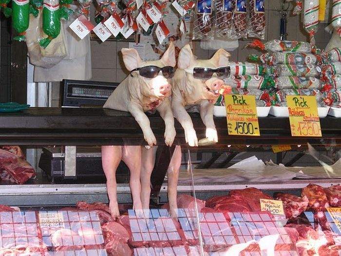 Махнём на шашлычок,чувак?