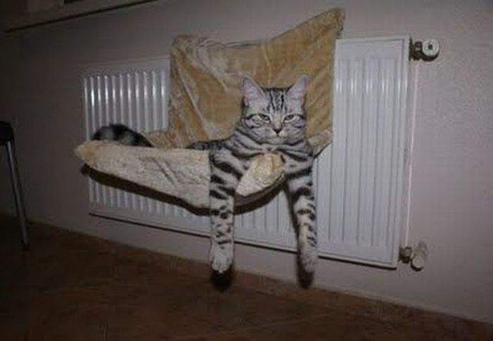 Таити... Мне и здесь хорошо.