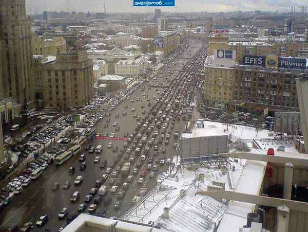 лохи