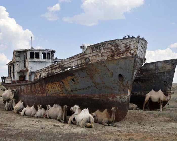 Прости нас Аральское море...