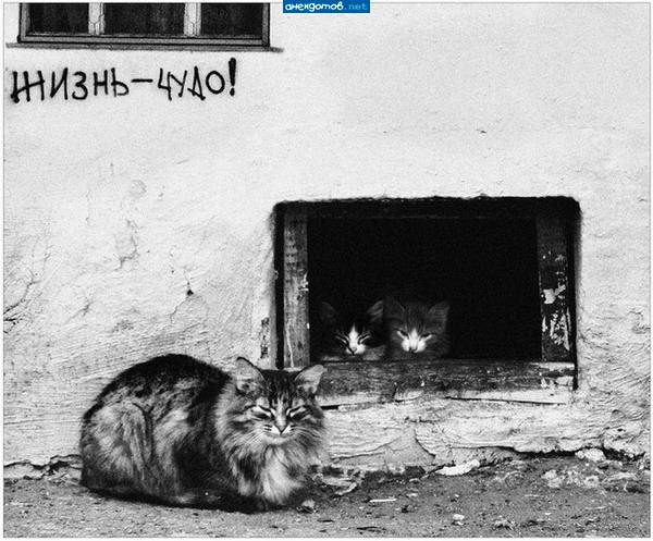 Мам, ну пожалуйста, мы около дома погуляем........
