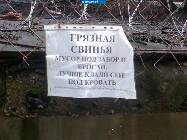 Под кроватью уже нет места. Подпись: ГРЯЗНАЯ СВИНЬЯ.