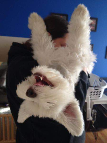 нежнеееееее!!!