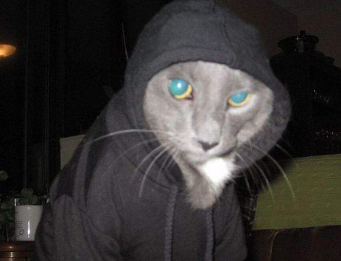 Гопник.