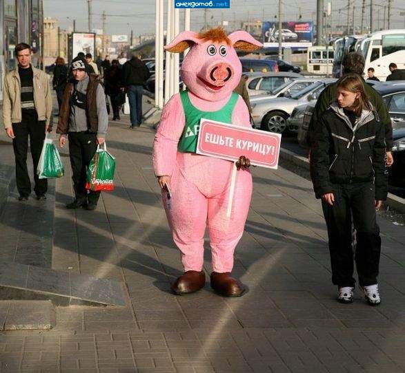 За углом курица с плакатом: Ешьте свинью!