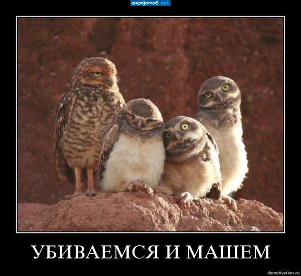Похоже Российский футбол