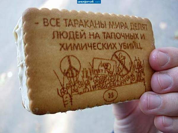 не только тараканы.еще и мухи.жучки и паучки