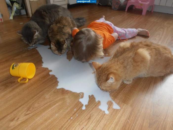 Когда мамы дома нету....)))))