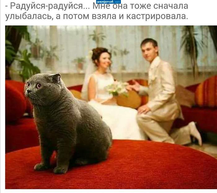 А потом и из миски моей жрать начнет