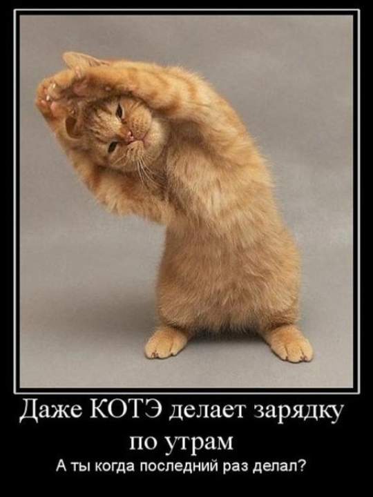 Только что! Телефон заряжала!