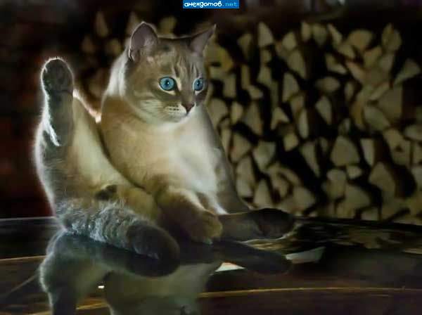 Ну как же я хорош! Ну в любой позе я хорош!