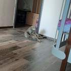 "Волочкова отдыхает"