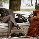 "Все как всегда. Один нажрался до бессознанки, второй с какой-то сукой лижется "